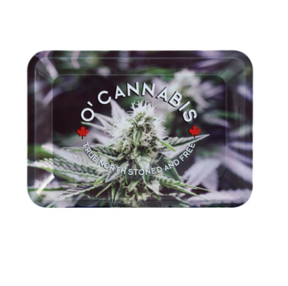 Raw | Rolling Tray MINl Size