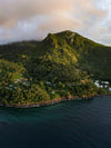 What’s So Special About the Caribbean?